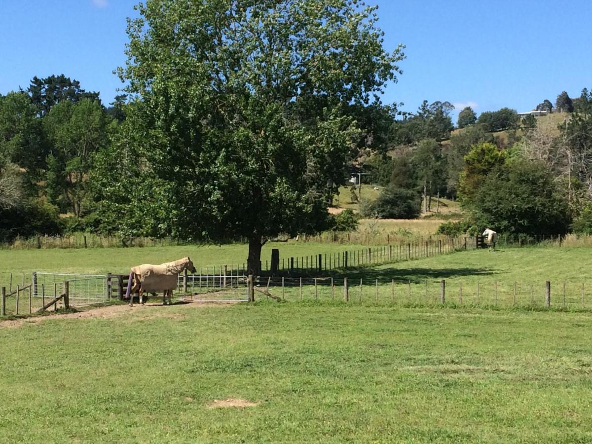 Bed and Breakfast Hunua Ranges Exterior foto