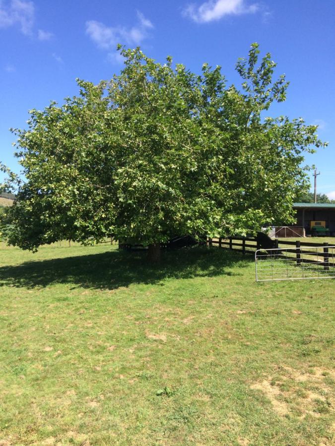 Bed and Breakfast Hunua Ranges Exterior foto